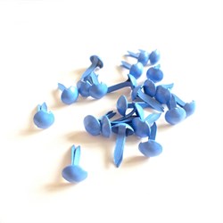 Брадсы для скрапбукинга, цвет ярко-голубой, арт. izh00127 - фото 5647