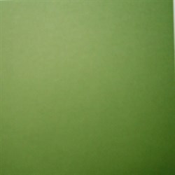 Дизайнерская матовая бумага Весенняя зелень, арт. DB039 - фото 9132