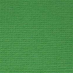 Лист однотонного кардстока Лесной папоротник (т. зеленый), арт. PST26 - фото 9516
