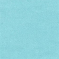 Лист однотонного кардстока Морская гладь (св. бирюзовый), арт. PST42 - фото 9523