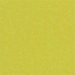 Лист однотонного кардстока Зеленый чай (желто-зеленый), арт. PST45 - фото 9524