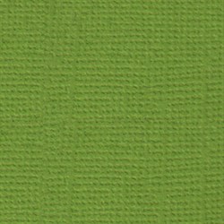 Лист однотонного кардстока Оливковый венок (зеленый), арт. PST25 - фото 9530