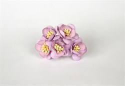Цветочки вишни, 2,5 см, 5 шт, цвета в ассортименте - фото 9642
