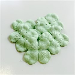 Герберы 5 см коралловые, 1 шт CG50