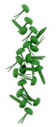 Брадсы для скрапбукинга, цвет зеленый, арт. izh00126