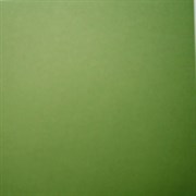 Дизайнерская матовая бумага Весенняя зелень, арт. DB039