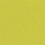 Лист однотонного кардстока Зеленый чай (желто-зеленый), арт. PST45
