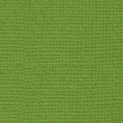 Лист однотонного кардстока Оливковый венок (зеленый), арт. PST25
