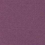 Лист однотонного кардстока Молодой виноград (фиолетовый), арт. PST12