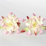 Цветы Гардении с розовым, 2 шт, арт.CG2b