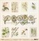 Бумага двусторонняя Карточки, коллекция Гербарий, арт. herbs10008 - фото 10903