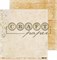 Бумага двусторонняя Пьеса, коллекция Гербарий, арт. herbs10006 - фото 10907