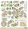 Набор бумаги Гербарий, арт. herbs10000 herbs10000