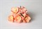 Цветочки вишни, 2,5 см, 5 шт, цвета в ассортименте - фото 12379