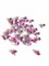 Люверсы с кольцами ярко розовые, 10 шт - фото 5804
