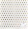 Прозрачный ацетатный лист с золотым фольгированием В горошек, арт. ac10001 - фото 9022