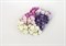 Цветочки вишни, 1,5 см, набор микс, 5 шт, цвета в ассортименте - фото 9628
