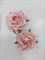 Набор цветов Розы коттеджные, с белым, 4,5 см, 2 шт - фото 9713