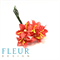 Цветы мини-лилии, 2,5 см, 5 шт - фото 9729