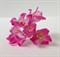 Цветы лилии, 3,5 см, 5 шт - фото 9730