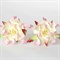Цветы Гардении с розовым, 2 шт, арт.CG2b - фото 9747